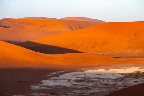 Evening mood, salt pan with dead tree, large red sand dunes in the Namib Desert, Namib Naukluft