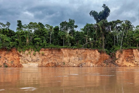 Erosion on the riverbank with forest and cloudy sky behind it, The Beni River near Rurrenabaque in