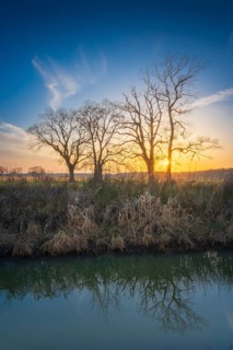 View across a ditch to the silhouettes of non-leafy trees at sunset, Kirchlinteln, Verden, Aller