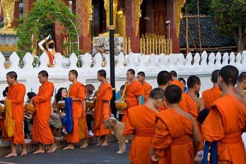 Morning alms, begging, thakbat of monks and novices of the monastery complexes in Luang Prabang,