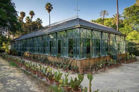 Serra Maria Carolina, large greenhouse or greenhouse with cacti and tropical plants, Palermo