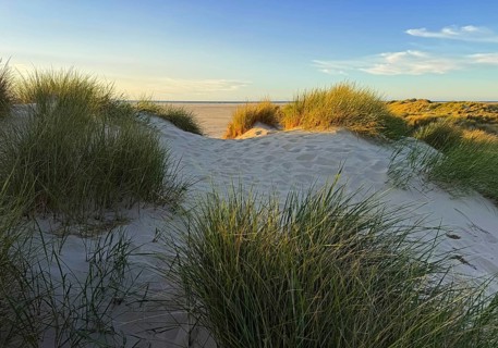 Dune landscape on the west beach on the North Sea island of Borzburg, East Frisia, Lower Saxony,