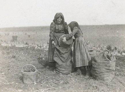 Bavaria, Polish harvest workers, potatoes, harvest, woman's work, agricultural work, poverty, maid,
