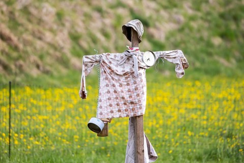 Scarecrow in a meadow. St. Johann, Baden-Württemberg, Germany