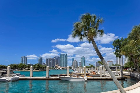 Panoramic view of St Petersburg marina with boats docked along turquoise water, palm trees in