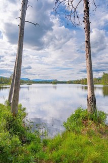 View of Lake Damvatn between two trees, Ömemyr, Telemark, Norway