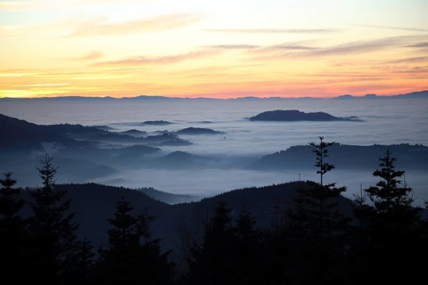 Fog-covered mountain landscape at sunset with pink-blue sky, winter landscape in the Black Forest,