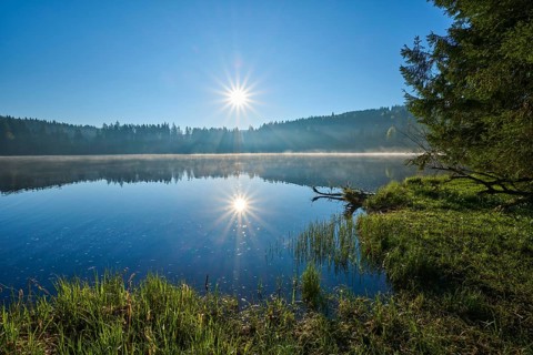 The sun over a quiet lake with grass on the shore, surrounded by peaceful nature, Windgfällweiher,