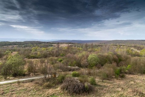 Germany, spring, Hainich, Hainichblick, landscape, national park, Hainich National Park, spring