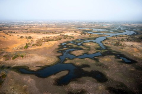 Wetland, landscape, aerial view of the Okavango Delta, near Maun, Okavango Delta, Botswana