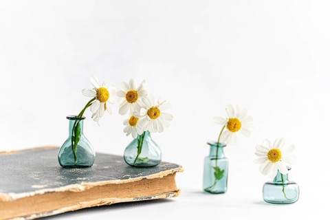 Aesthetic display of summer daisies in small glass vases on a vintage book. The minimalist interior