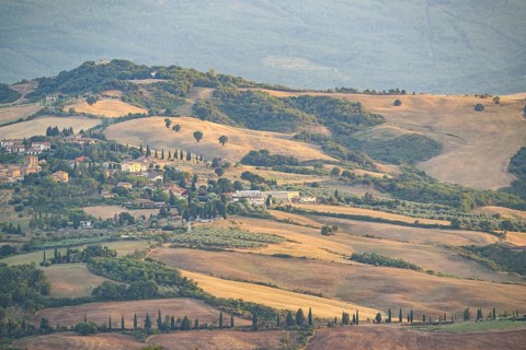 Typical Tuscan landscape in Val d'Orcia with hills, trees, fields, cypresses in autumn at sunset,