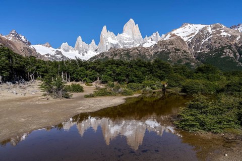 Cerro Fitz Roy with snow-covered granite peaks is reflected in a pond, southern beech forest in the