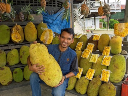Man with huge jackfruit, Sulawesi, Indonesia