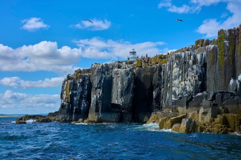 A lonely lighthouse stands on massive cliffs with passing birds, Inner Farne Lighthouse, Seahouses,