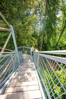 Person walking alone down a wooden staircase in the thick forest, Waldwelt Skywalk Allgäu,