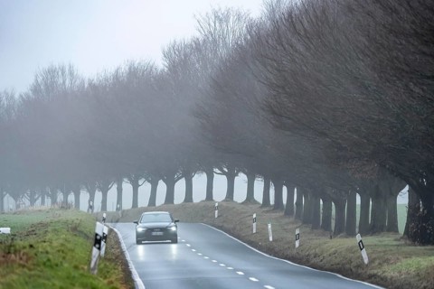 Thick fog, with low visibility, country road, Schuirweg, bare trees, winter, in Essen, North