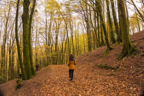 Lifestyle, a young woman in a yellow jacket walking backwards along a forest path in autumn.