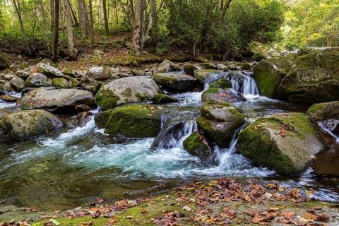 The Little River flows along the Little River Trail in the Great Smoky Mountains National Park,