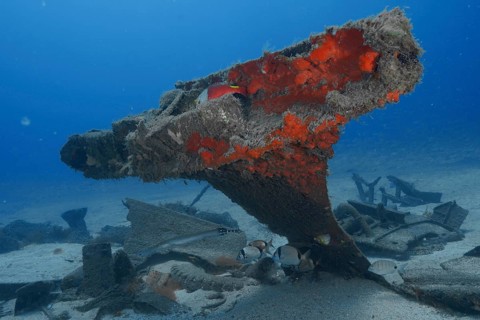 Shipwreck with exposed, rusty structures and fish below, meteor wreck dive site, Russian hydrofoil,