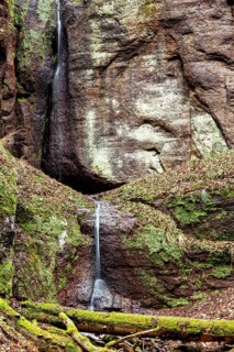 A gentle waterfall cascades down from a rough rock and reinforces the quiet, natural environment,