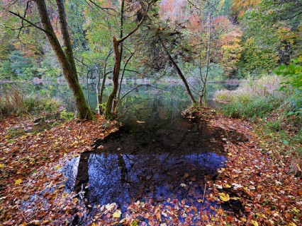Egelsee in autumn-colored surroundings, Bergdietikon, Canton of Aargau, Switzerland