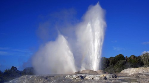Geyser on the North Island of New Zealand, Whakarewarewa, North Island, New Zealand