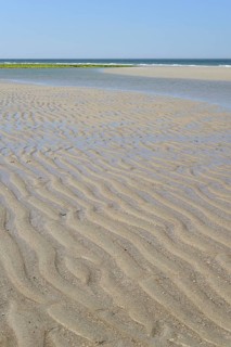 Beach at low tide with wave-like structure, current ripples in wet sand, blue sky, North Sea,
