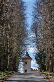 Linden avenues (Tilia) to Greifesntein Castle, Heiligenstadt, Upper Franconia, Bavaria, Germany