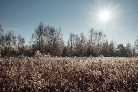 Countryside scenery during sunny morning