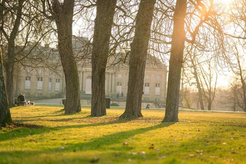 Several trees cast shadows on the lawn in the direction of a historic building, Domäne Monrepos,