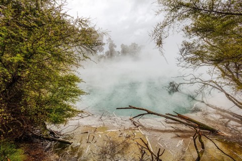 Geothermal, Park, Rotorua, New Zealand