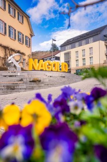 A Nagold lettering against a clear blue sky and surrounded by bright spring flowers, Nagold, Calw