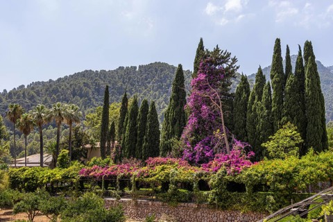 The Alfabia Gardens are a historic garden at the foot of the Tramuntana Mountains in Majorca. They
