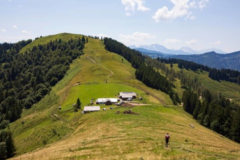 Hikers on the way to the Oberwiesalmen with Loibersbacher Höhe, Osterhorngruppe, Salzkammergut,
