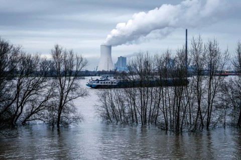 Duisburg, North Rhine-Westphalia, Germany - High water on the Rhine, the trees on the dyke in the