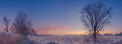 Walk along the river Leine on a cold winter day, winter, snow, ice, frost, cold, season, cosy,