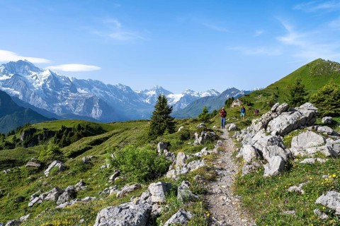 Hikers on a hiking trail on the Schynige Platte, picturesque mountain landscape, glaciated mountain