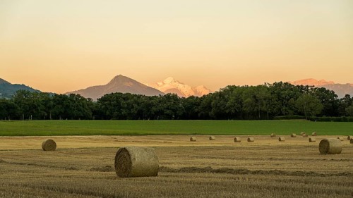 A tranquil rural scene with round hay bales scattered across a harvested field in Geneva, Swiss.