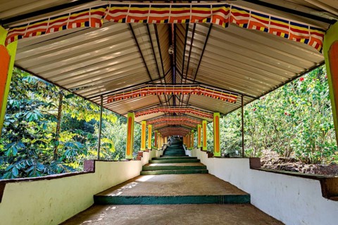 Long covered path in nature, surrounded by plants and bright colors, offers shelter, The Diva