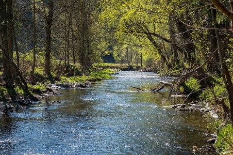 Germany, Greiz, Göltzschtal, Thuringia, Thuringia, rivers, river, spring, Köhlersteig, landscape,