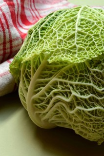 Savoy cabbage, savoy cabbage on green background