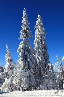 Winter landscape in the Fichtelgebirge, Bayreuth district, Upper Franconia, Bavaria, Germany
