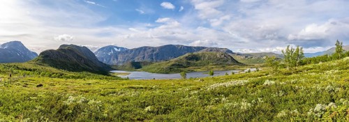 Barren mountain landscape with lake and birch trees, Knutshøe mountain and Gjendehøe, Leirungen