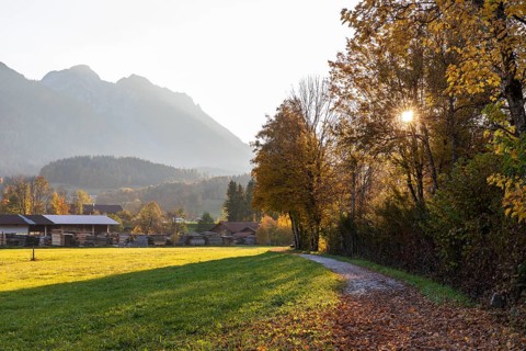 Sunny autumn weather in the Rote Traun valley, surrounded by the Chiemgau Alps, Inzell, Bavaria,