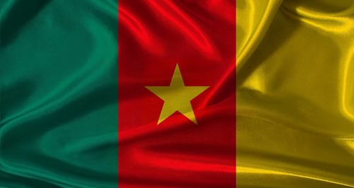 National flag of Cameroon with cloth texture. Cameroon flag with realistic texture background