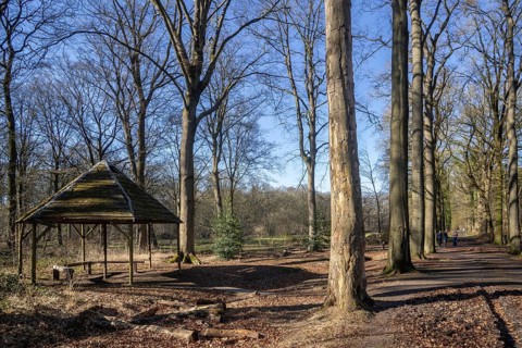 Drongengoedbos in spring, largest forest in East Flanders at Ursel near Knesselare, Aalter, Belgium