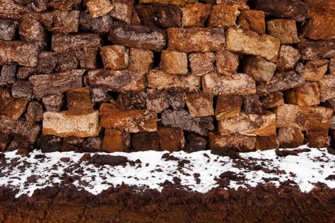 Peat in winter moor, Goldenstedt, Lower Saxony, Germany