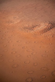 Sandy desert with Fairy Circles, circular areas, aerial view, Namib Desert, Namib Naukluft Park