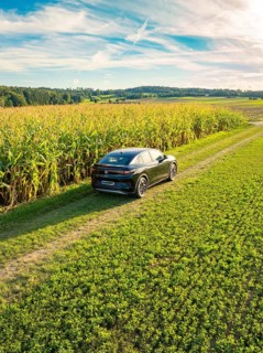 Black car driving on a dirt road next to a corn field under a blue sky with white clouds,